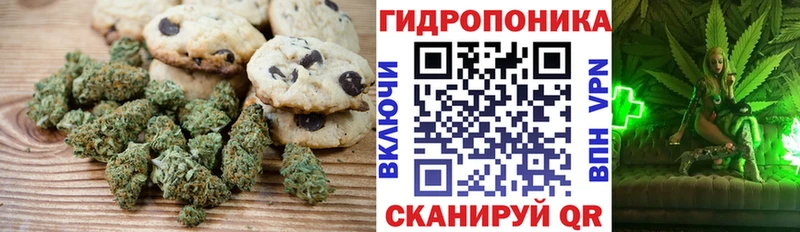 наркошоп  Всеволожск  Печенье с ТГК марихуана 