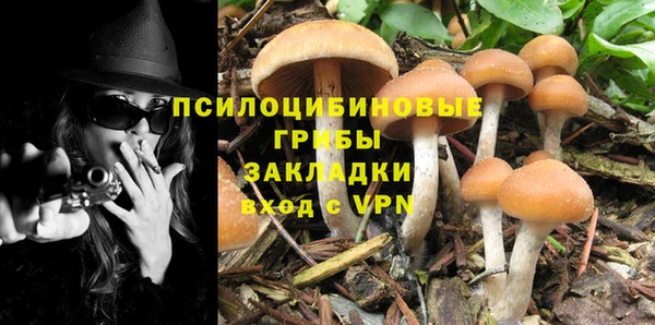 трава Михайловка