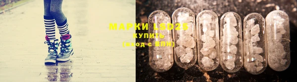 кокс Михайлов