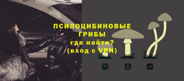 кокс Михайлов