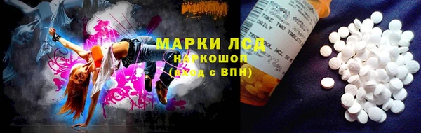 кокс Михайлов