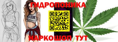 прущий лед Будённовск
