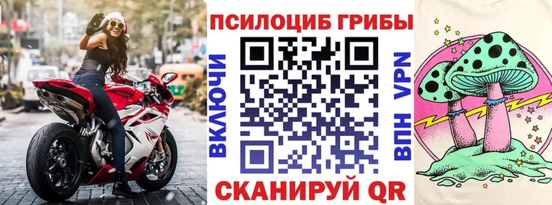 Галлюциногенные грибы Psilocybine cubensis  купить закладку  Всеволожск 