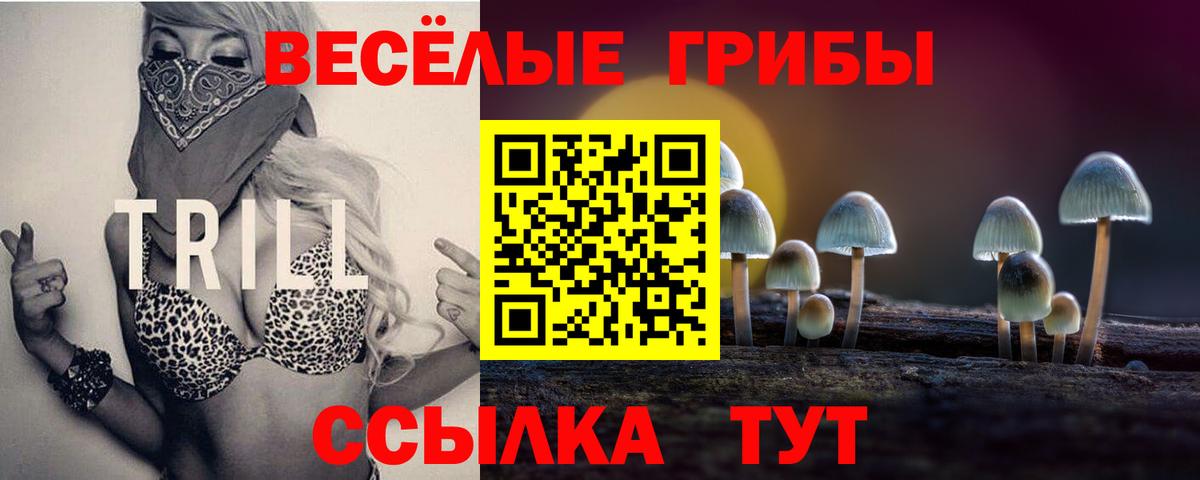 Галлюциногенные грибы мухоморы  Вход с VPN  Всеволожск 
